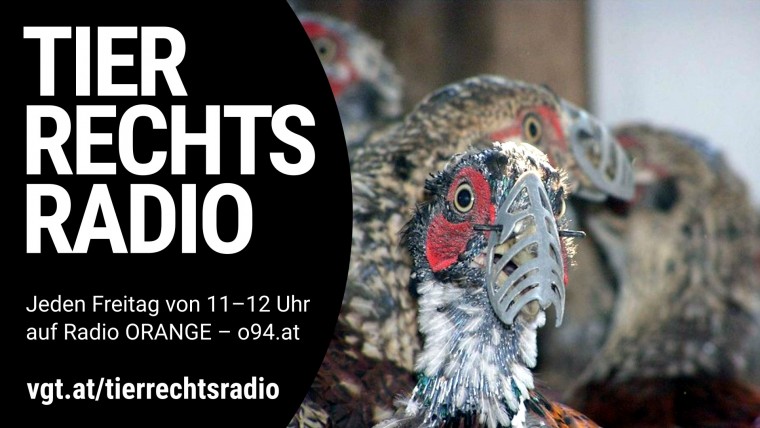 Bild zu dieser Radiosendung