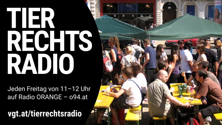 Bild zu dieser Radiosendung