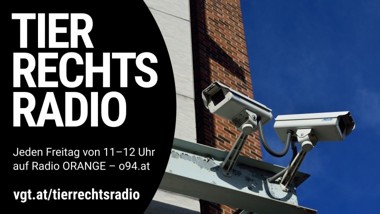 Bild zu dieser Radiosendung