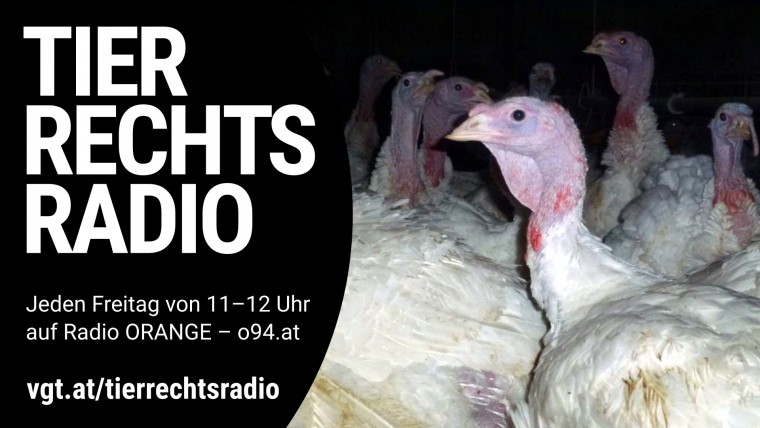 Bild zu dieser Radiosendung
