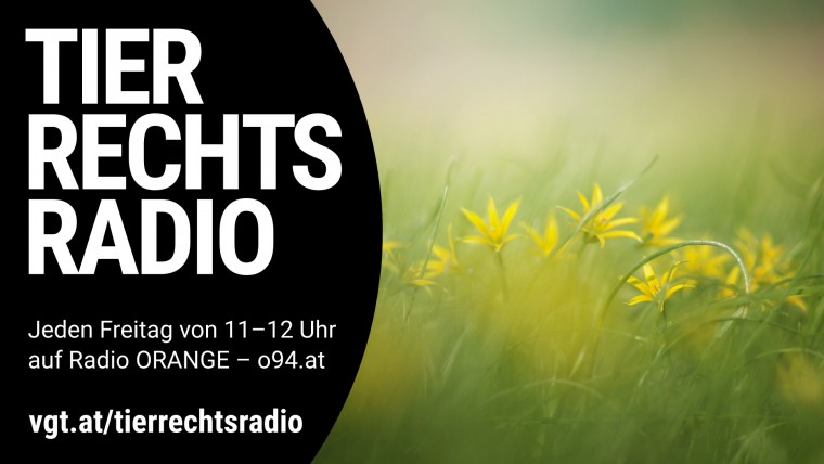 Bild zu dieser Radiosendung