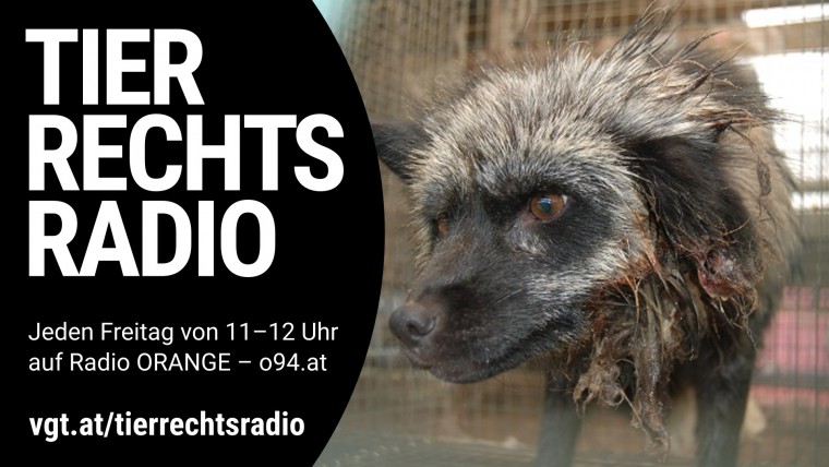 Bild zu dieser Radiosendung