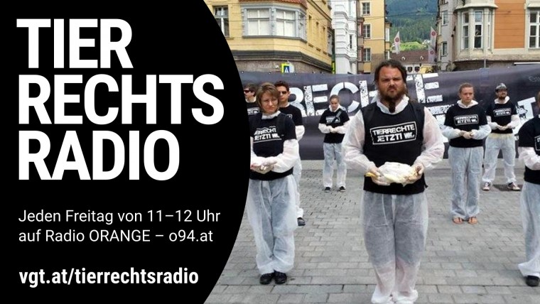 Bild zu dieser Radiosendung