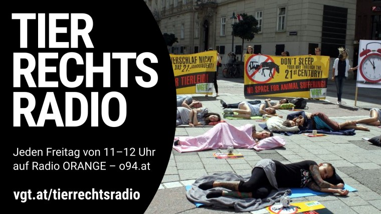 Bild zu dieser Radiosendung
