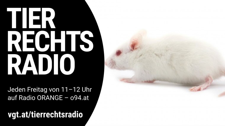 Bild zu dieser Radiosendung