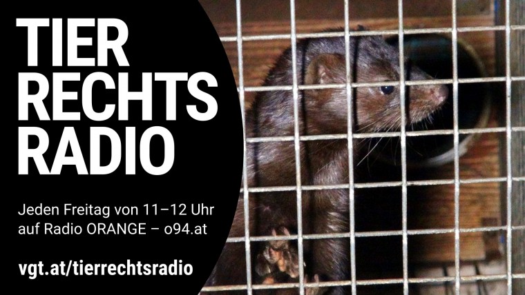 Bild zu dieser Radiosendung