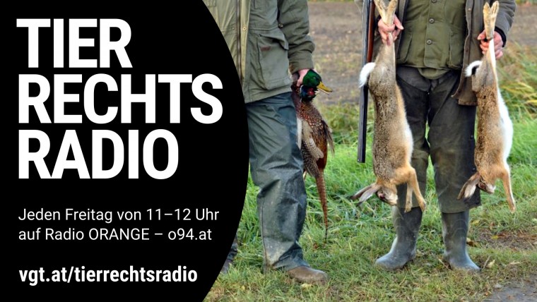 Bild zu dieser Radiosendung