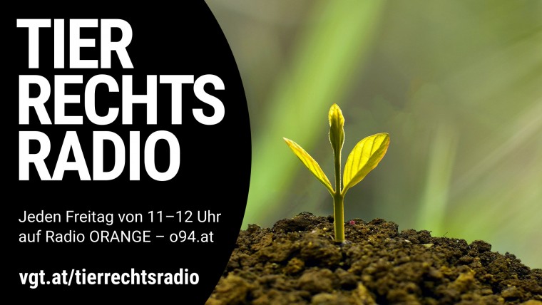Bild zu dieser Radiosendung