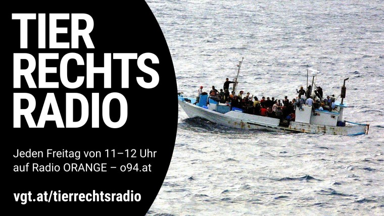 Bild zu dieser Radiosendung