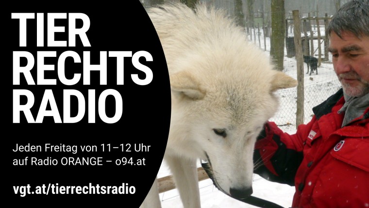 Bild zu dieser Radiosendung