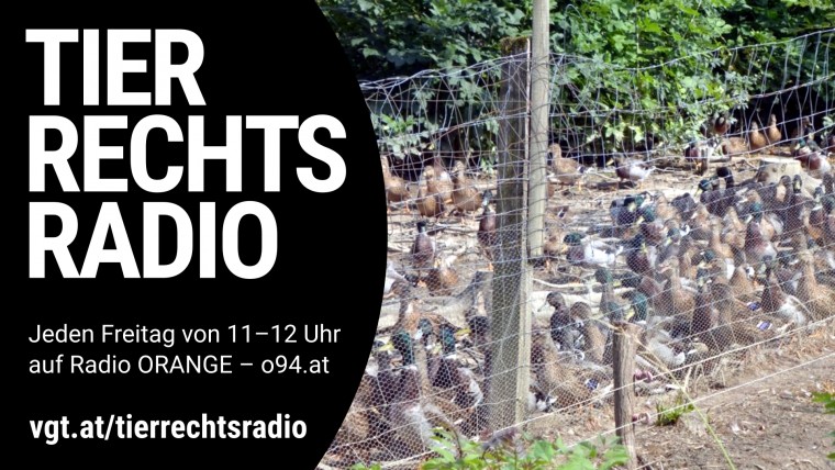 Bild zu dieser Radiosendung
