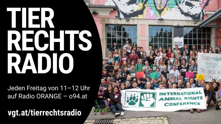 Bild zu dieser Radiosendung