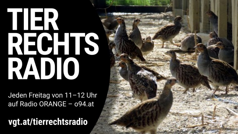 Bild zu dieser Radiosendung