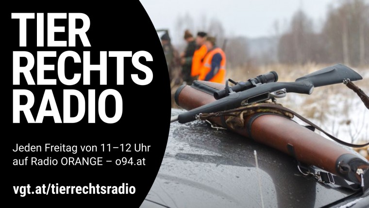 Bild zu dieser Radiosendung