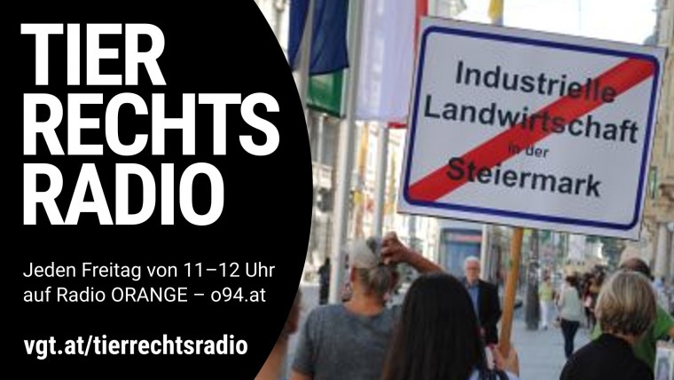 Bild zu dieser Radiosendung