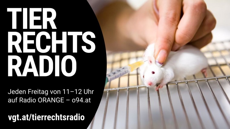 Bild zu dieser Radiosendung