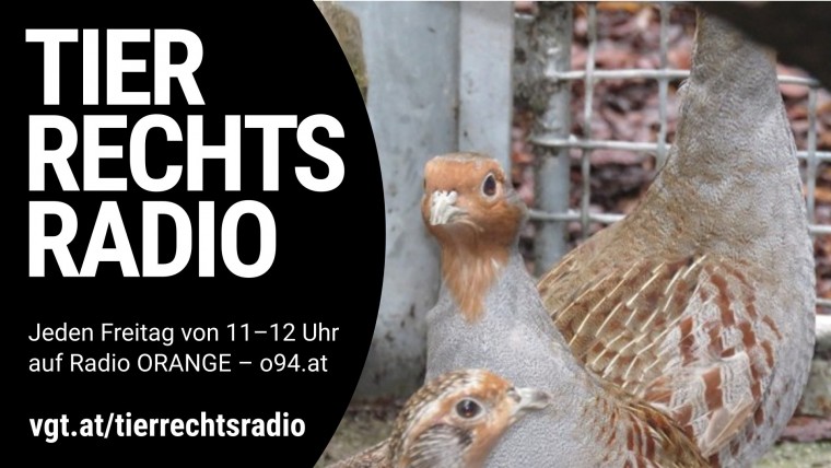 Bild zu dieser Radiosendung