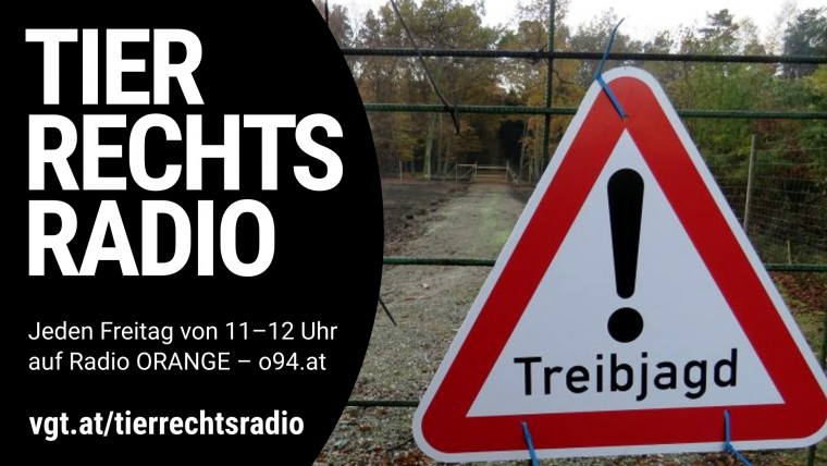 Bild zu dieser Radiosendung