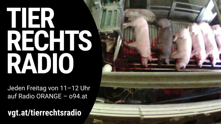 Bild zu dieser Radiosendung