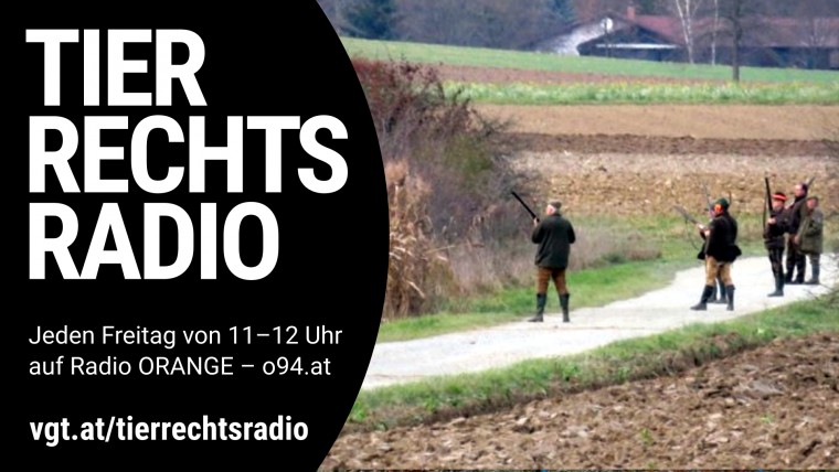 Bild zu dieser Radiosendung