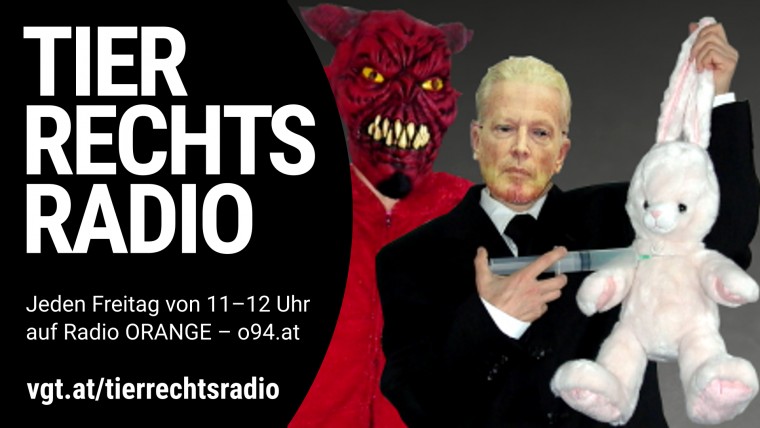 Bild zu dieser Radiosendung