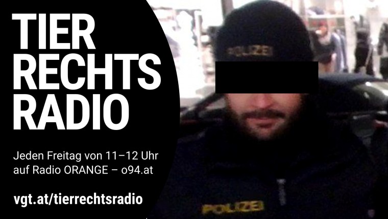 Bild zu dieser Radiosendung