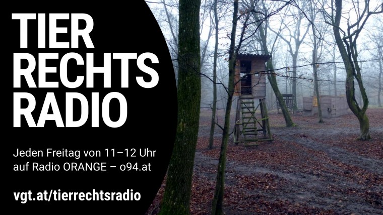 Bild zu dieser Radiosendung