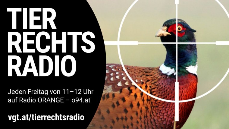Bild zu dieser Radiosendung