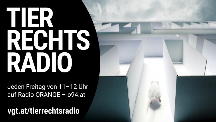 Bild zu dieser Radiosendung