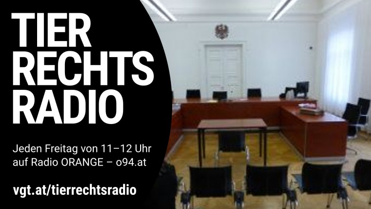 Bild zu dieser Radiosendung