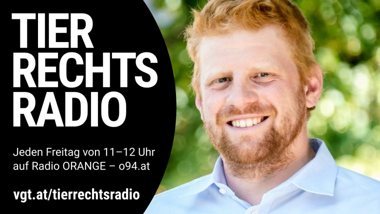 Bild zu dieser Radiosendung
