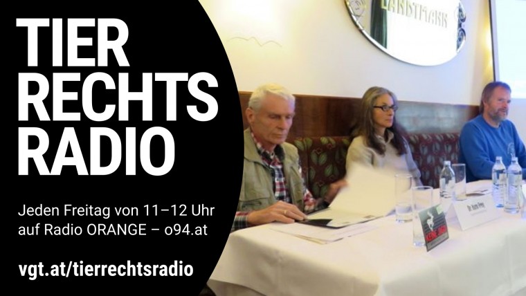 Bild zu dieser Radiosendung