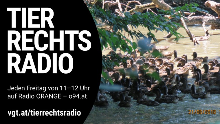 Bild zu dieser Radiosendung