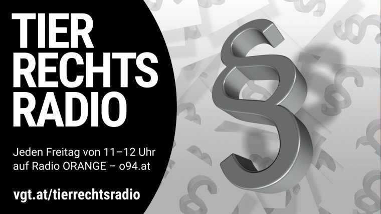 Bild zu dieser Radiosendung
