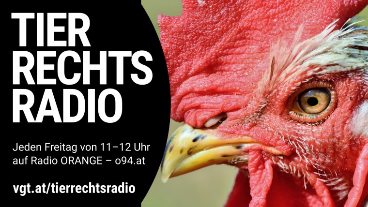 Bild zu dieser Radiosendung