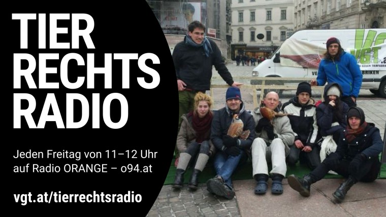 Bild zu dieser Radiosendung
