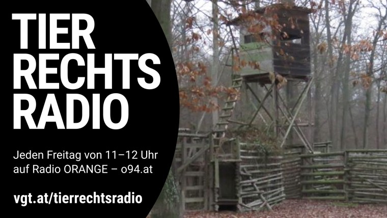 Bild zu dieser Radiosendung