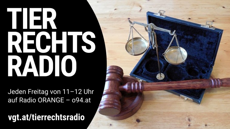 Bild zu dieser Radiosendung