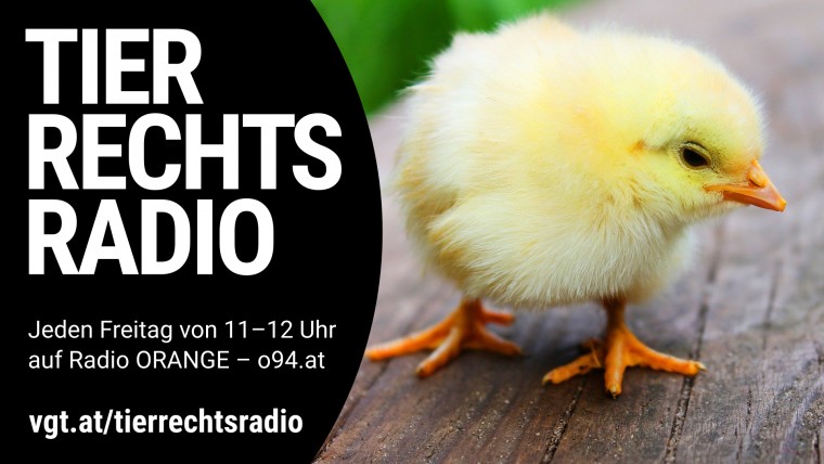 Bild zu dieser Radiosendung