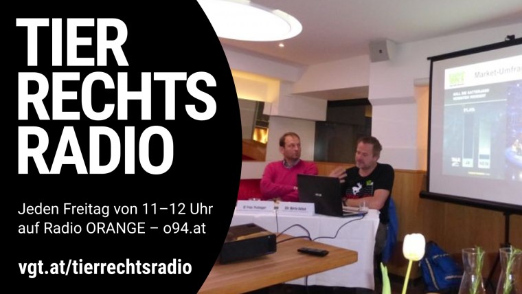 Bild zu dieser Radiosendung