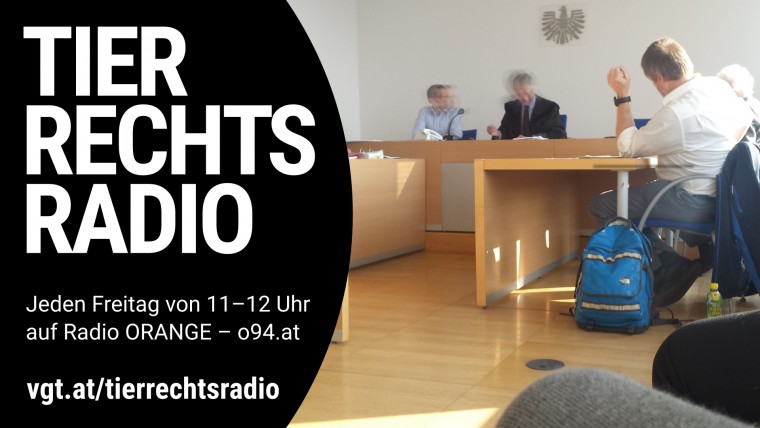 Bild zu dieser Radiosendung