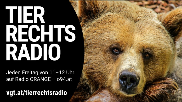 Bild zu dieser Radiosendung