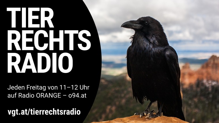Bild zu dieser Radiosendung