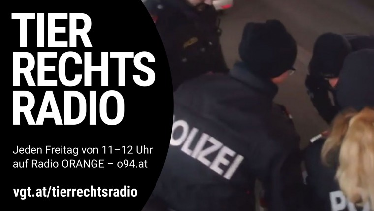 Bild zu dieser Radiosendung