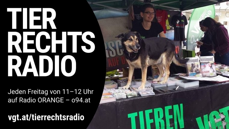 Bild zu dieser Radiosendung
