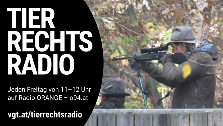 Bild zu dieser Radiosendung