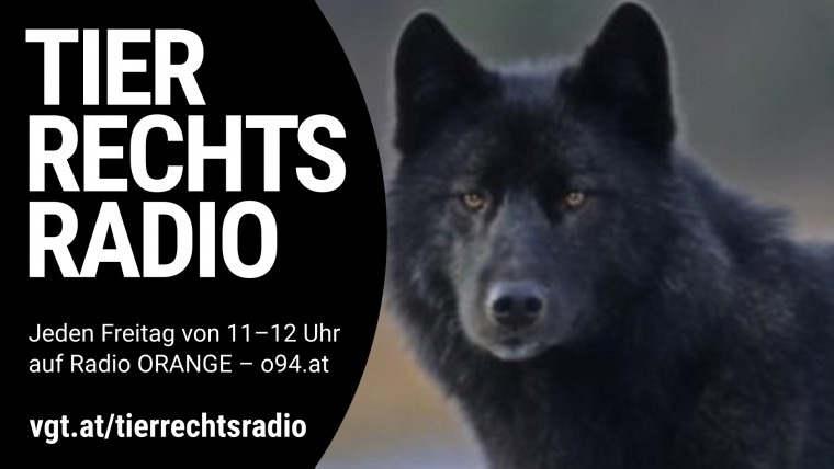 Bild zu dieser Radiosendung