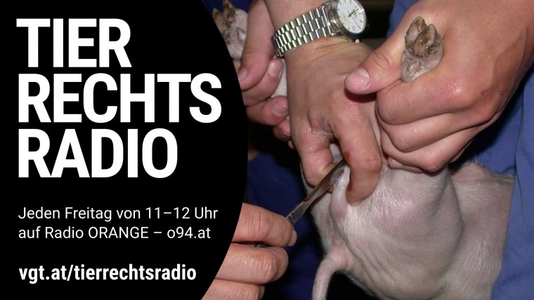Bild zu dieser Radiosendung