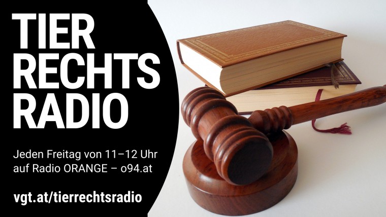 Bild zu dieser Radiosendung