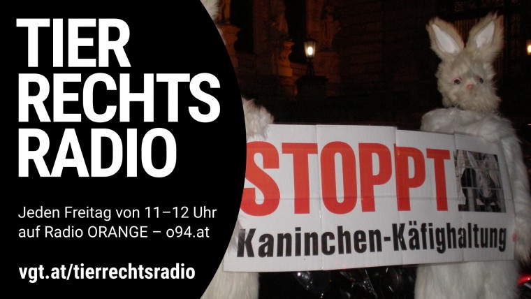 Bild zu dieser Radiosendung